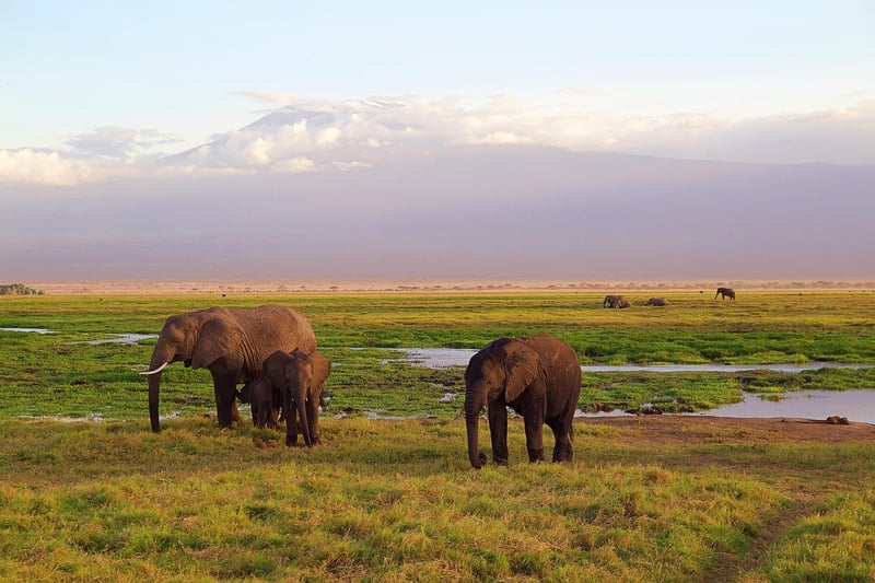 Mount Kilimanjaro