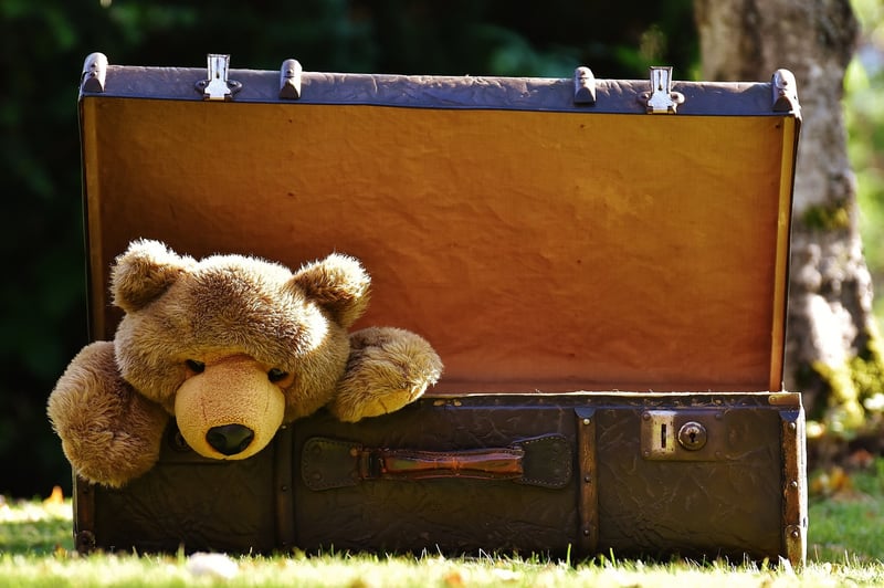 Well-packed suitcase